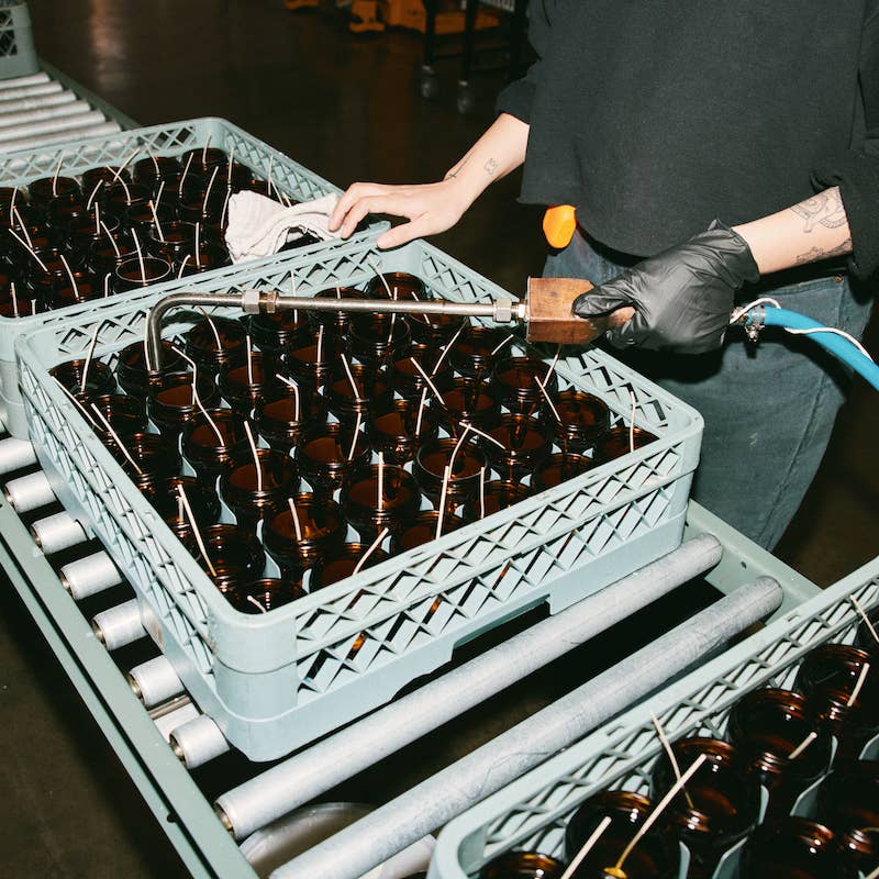 Black Fig Standard Soy Candle - 7.2 oz