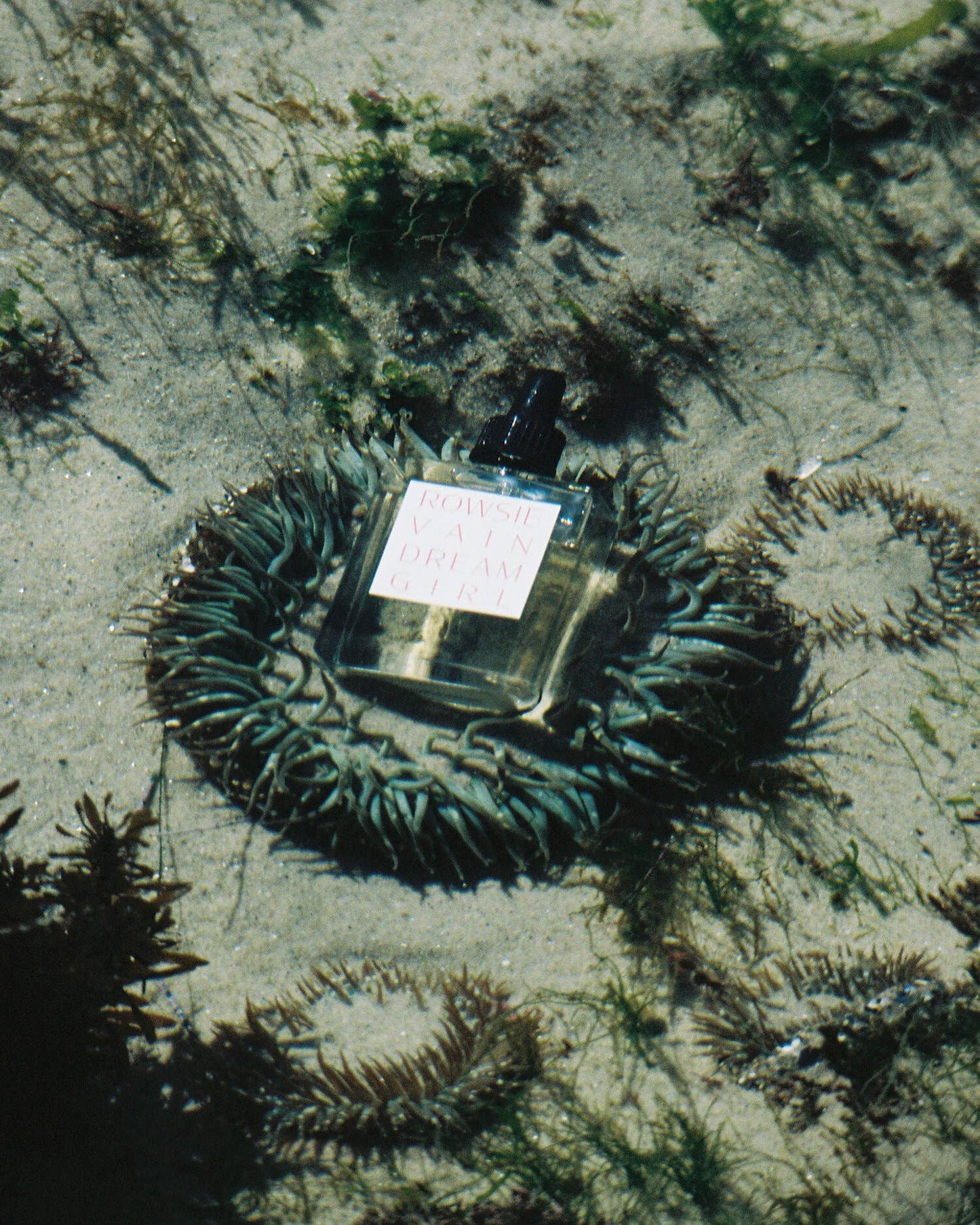 Dreamgirl Oil Bottle Natural Perfume by ROWSIE VAIN (60ml)