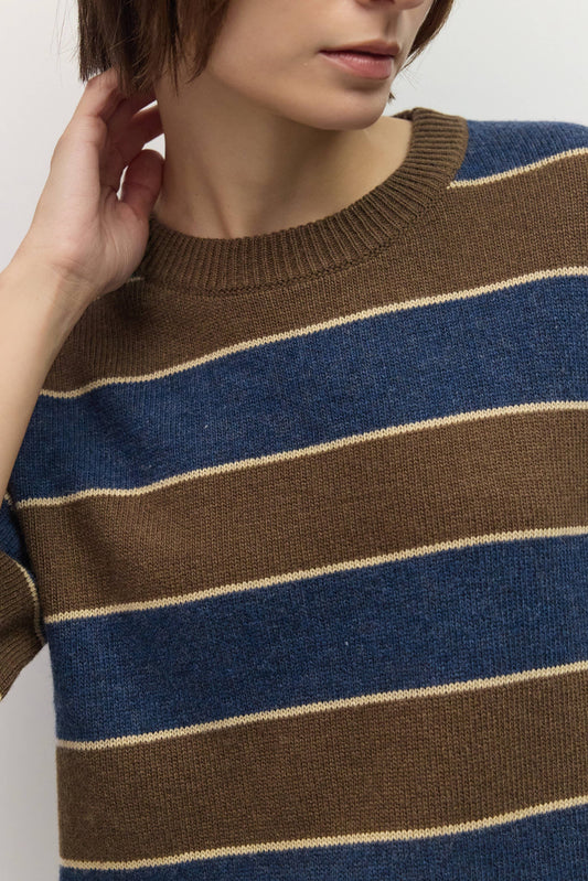 Brown + Navy Striped Short Sleeve Sweater