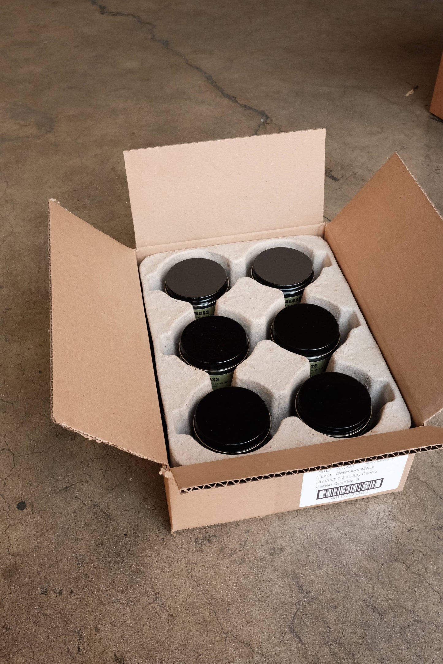 Enoki Cedar Alchemy Soy Candle- 7.2 oz