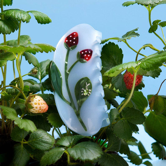 Forest Berry Jewel Beetle Acetate Hair Claw