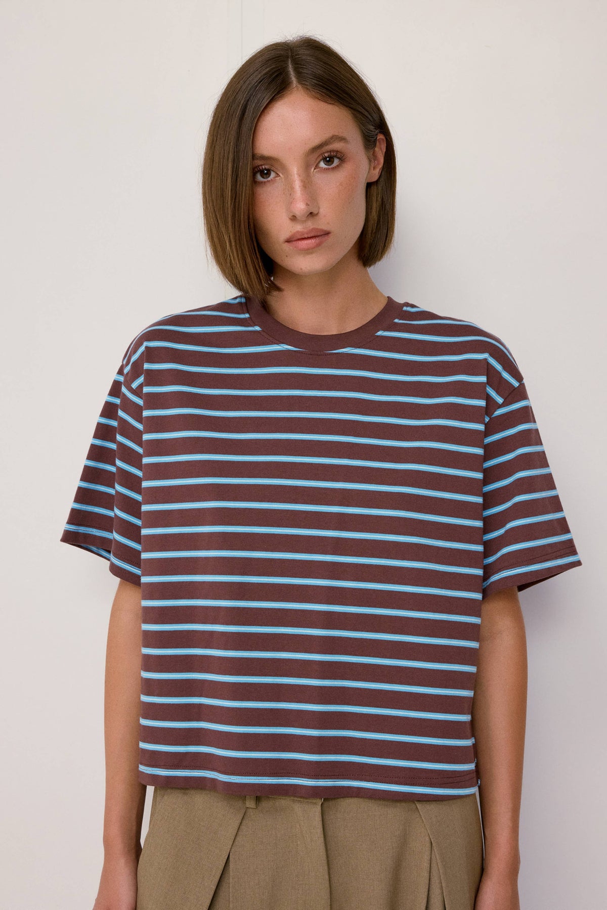 Brown and Light Blue Striped Relaxed Tee
