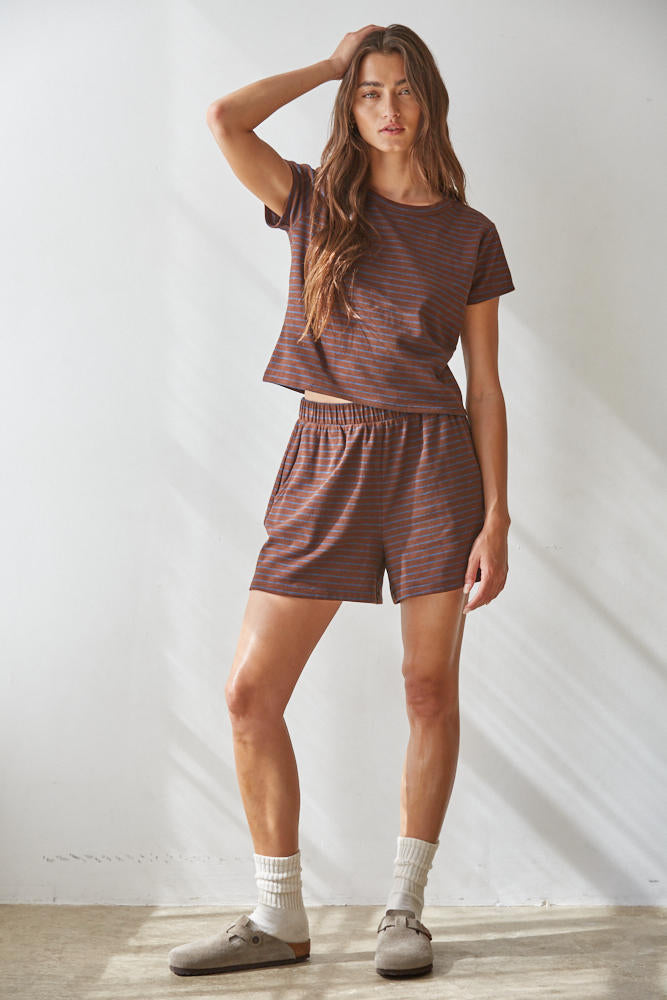 Dark Brown Blue Striped Shorts