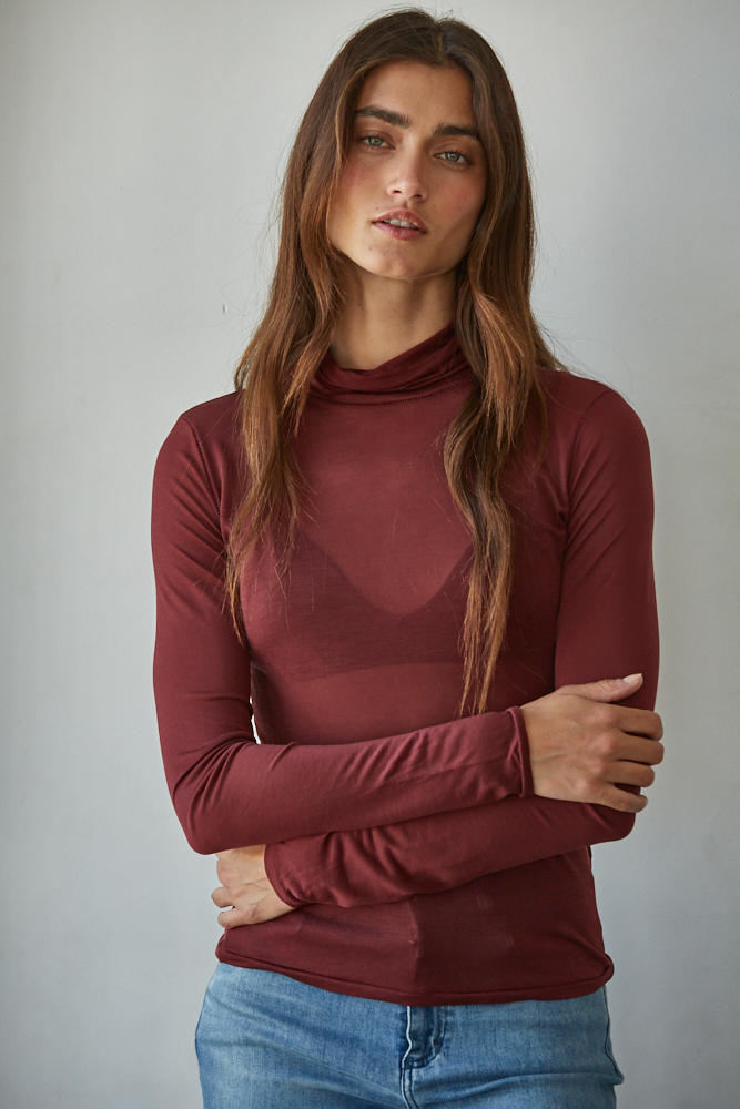 Sheer Turtleneck Long Sleeve Top