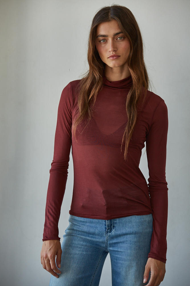 Sheer Turtleneck Long Sleeve Top