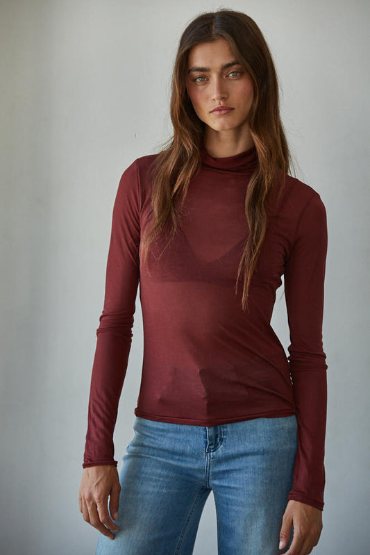 Sheer Turtleneck Long Sleeve Top