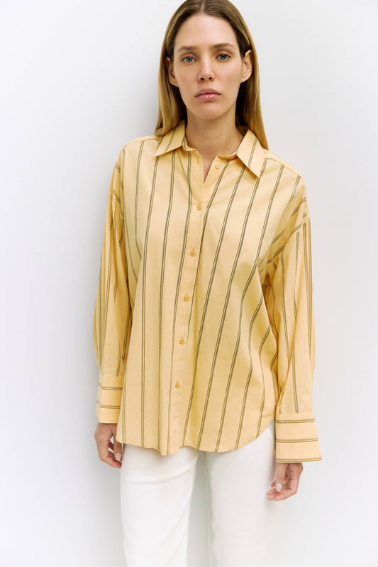 Striped Button-Down Shirt