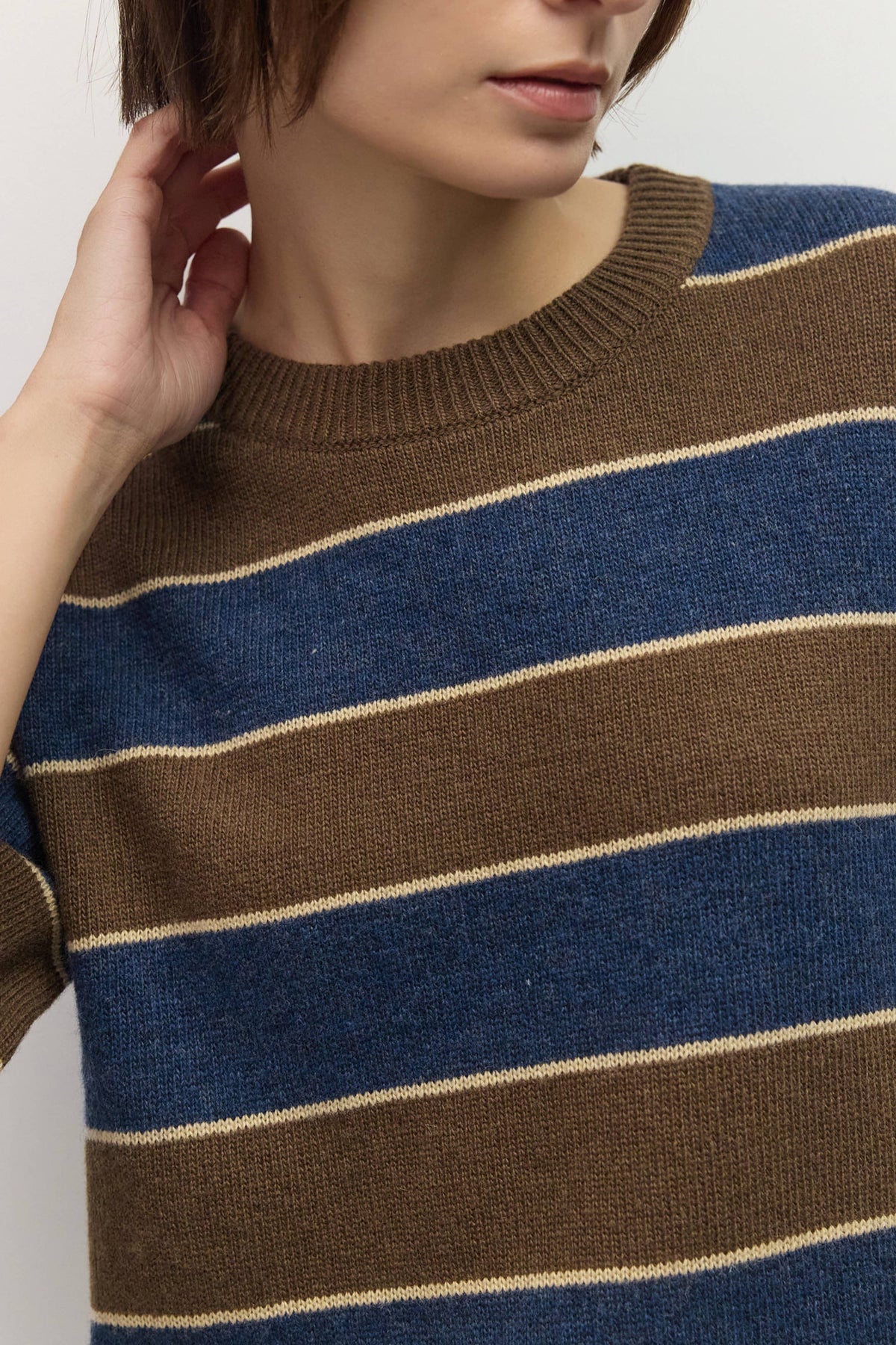 Brown + Navy Striped Short Sleeve Sweater