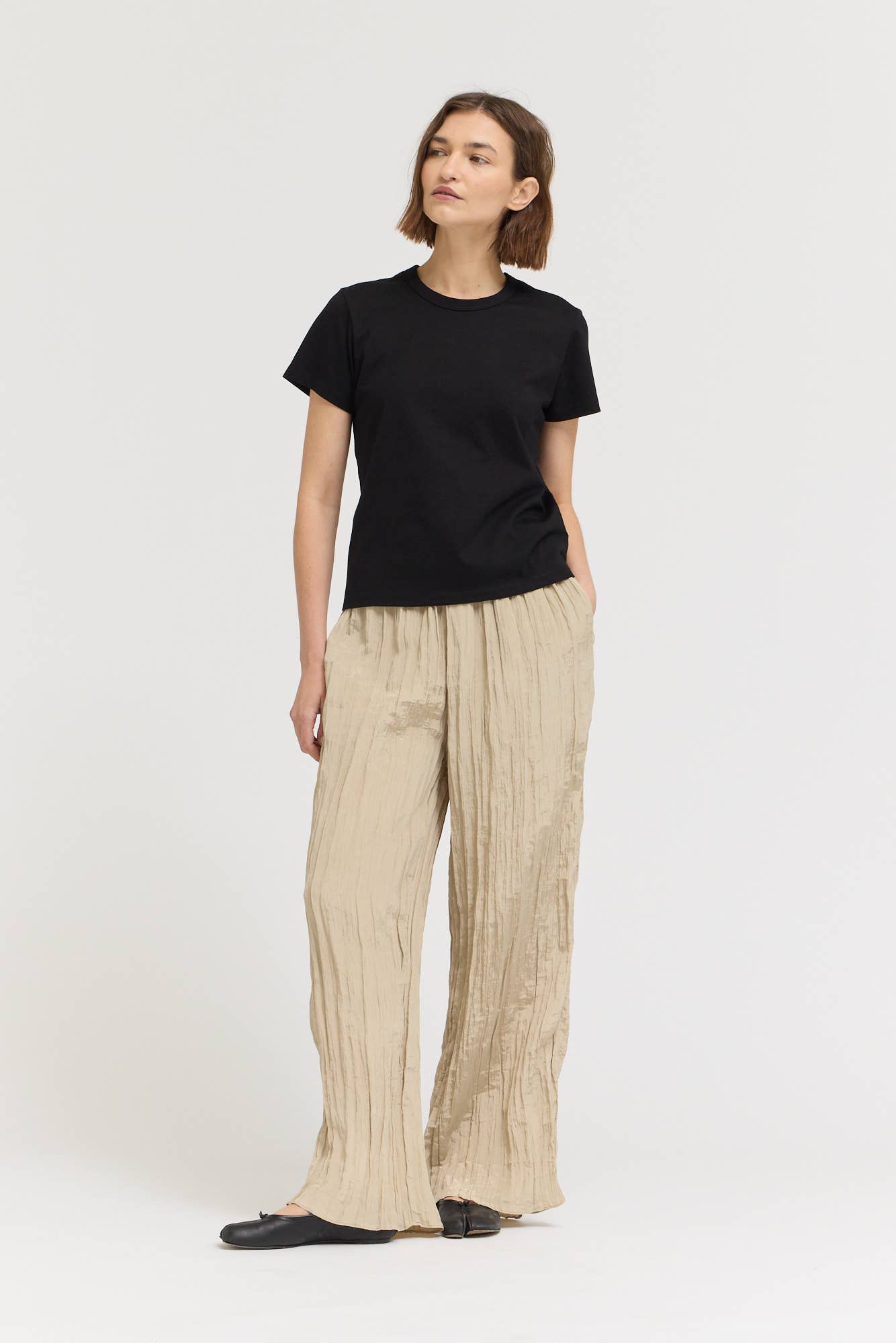 Standard Fit Cotton T-Shirt